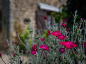 Maisons de vacances Gite Le Pasturale : photos des chambres