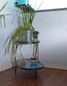 Garden Panorâmico Premium