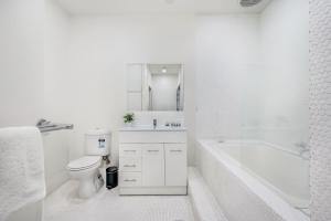 Swainson on Waymouth