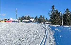 Cozy Apartment In Lillehammer With Wifi