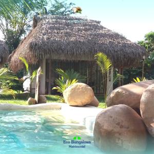 COCONUT TARAPOTO - ECO RESORT