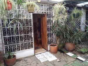 Casa Viva apartaestudio terraza II