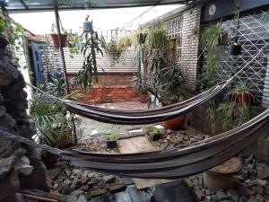 Casa Viva apartaestudio terraza II