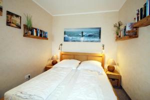 Steinwarder 35-37 SC6 012 Steinwarder 35-37