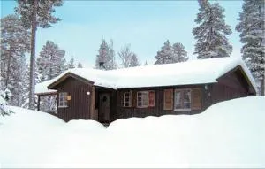 Gorgeous Home In Särna With Kitchen - Särna