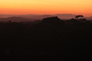 the YellowBoxWood Heathcote - Echidna Ridge and Emu Valley Tents x 2