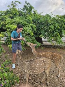 Ceylon Beach haven Uppuveli