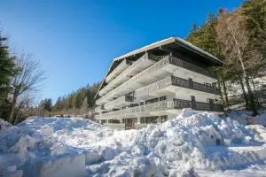 Résidence Androsace 31 - Happy Rentals - 阿让蒂耶尔