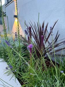 V Residence Apartments