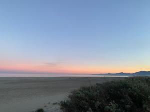 Hotels Le Regina Hotel et restaurant Canet-plage : photos des chambres