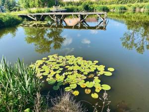 Agroturystyka Leszczynowy Dworek