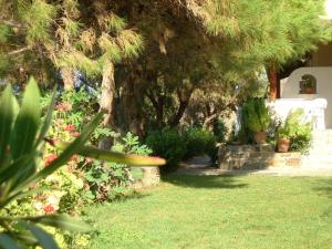 Zorbas Apartments Chios-Island Greece