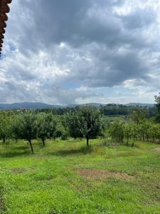Kucica IN