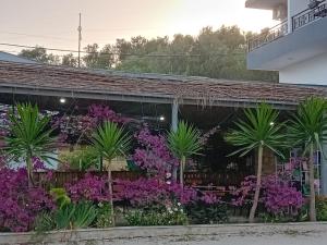 Villa Allkushi