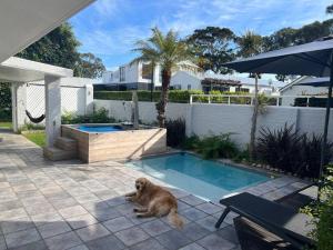 Herons House - 4hvězdičkové hotely ve městě Knysna