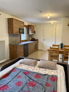 Appartements Studio a la montagne : photos des chambres