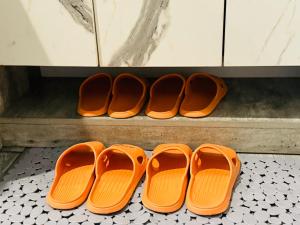 Tropical Hạ Long Bay view