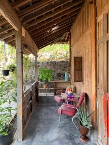 Serambut Widi Artcation