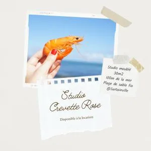 Crevette rose à 100m de la plage de sable de Surtainville - Beaubigny