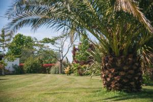 Villas Villa Bet Loc 14 personnes : photos des chambres