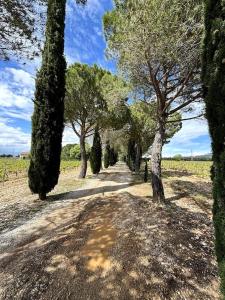 Villas Superbe Mas en Pierre, Piscine, Boulodrome, 14 pers : photos des chambres