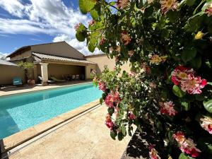 Villas Superbe Mas en Pierre, Piscine, Boulodrome, 14 pers : photos des chambres