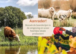 Panorama wellnesslodges x Vakantiepark Hölte