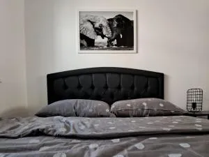 Elephant Apartments - 巴尼亚科维利亚查