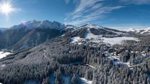 Appartement Juri Hochkrimml