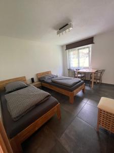 Ferienregion Andermatt - Studio in Wassen