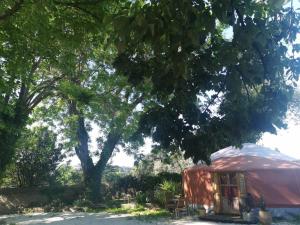 Tentes de luxe Yourte Namaste Homestay : photos des chambres