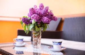 Apartments Šimičević Vodice