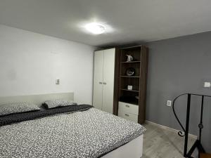 Apartament Studio Ultracentral Oradea
