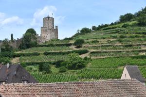 Appartements Appartement Gaspard & Lilly avec Balcon : photos des chambres