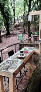 Agriturismo Parco dai Nonni