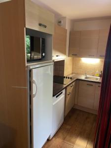 Appartements Bel appartement T3 pour 6 a 8 personnes a Brides-Les-Bains : photos des chambres