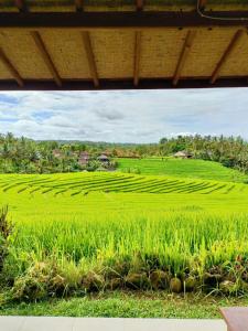 Dewi Nara Guest House By Balitrees - Ubytování bez kategorie ve městě Selemadeg