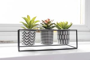 Cosy home in Darlington