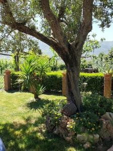 Villa Lucia