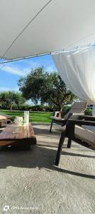 La corte degli ulivi