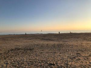 Réve de mer au marin land