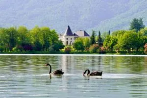 Lopota Lake Resort & Spa - Eniseli