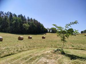 Gîte Coquelicot cadre idyllique au calme