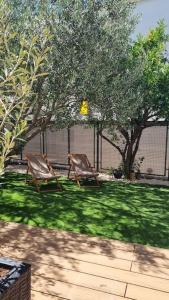 Maslina House - Family Apartment 2 with Pool 