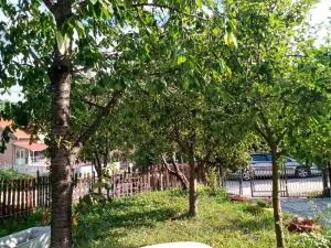 Vila Premier Sokobanja - Nikolinac