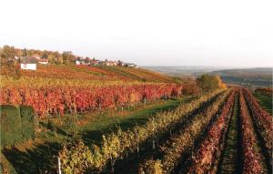 One-Bedroom Holiday Home In Deutsch Schutzen