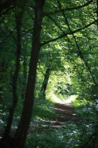 Premium Double or Twin Room room in The Seven Hotel