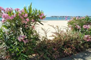 Le Capitole - Studio Plage Benoit dans résidence face mer