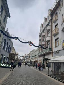 Apartament Studio Ultracentral Oradea