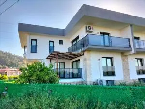 Liz Villa - Karadonlar